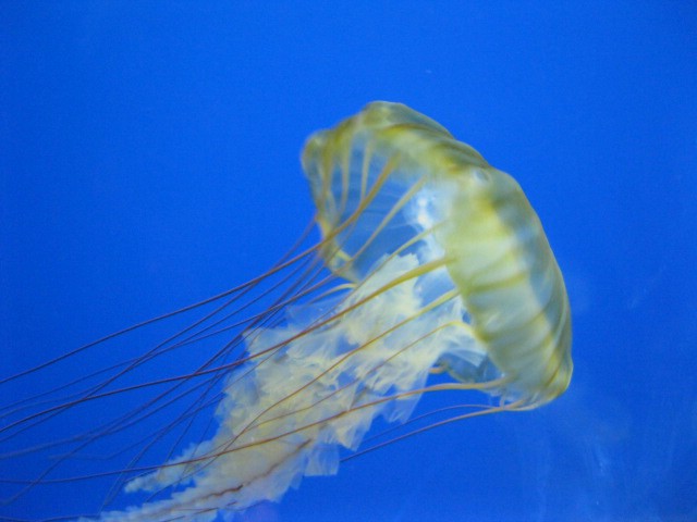 click for next image